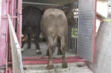452030