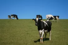 234924