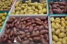 ziemniaki