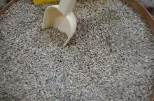 925207