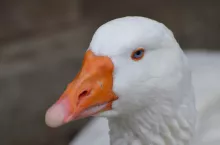234712