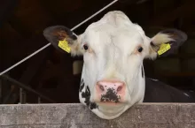 208990