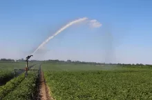 925053