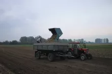 925036