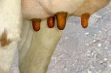 924957