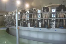 500032