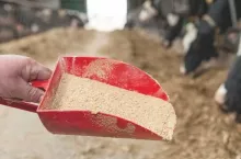 450780