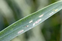 450752