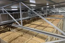 Dymka z firmy Broer B.V. trafia do 40 krajów.