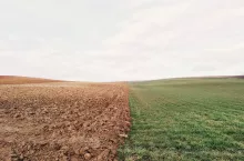 233850