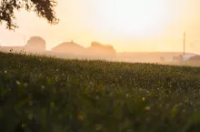 450654