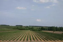 Ukraina sprzedaje swoje ziemie