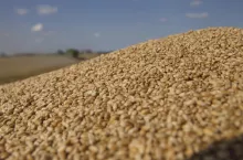 450385