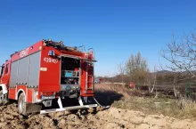 233646