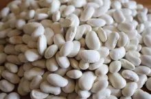 fasola