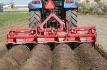  Psianka czarna to jeden z uporczywych chwastów, do zwalczania którego można zastosować środki zawierające takie substancje jak np. flurochloridon, pendimetalina czy prosulfokarb z metrybuzyną