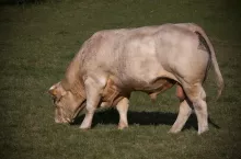 450178