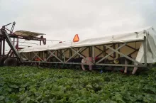716506