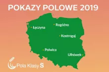 181683