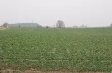 182012