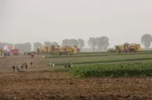 183133