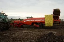 183236