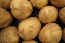 183273