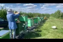 716254