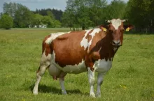 449669