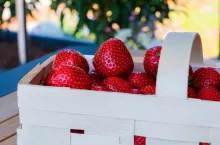 449582