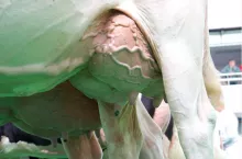 449393