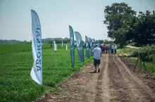 Dni Pola CIECH Sarzyna