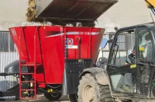 449305