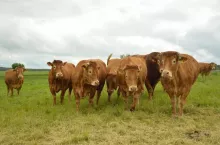 449373