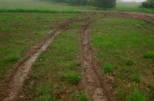 Zniszczone kołami samochodów uprawy