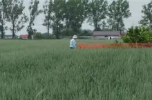 Nastroje w rolnictwie w związku z COVID-19