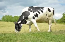 449308