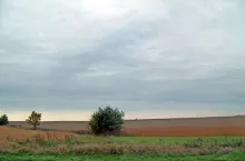 449267