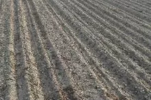449222