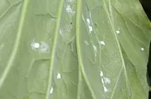 715690