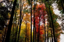 232444