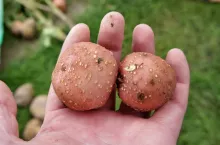 232347