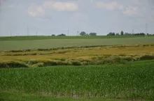 923750