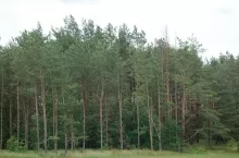 923670