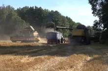 499824