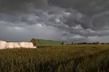 923616