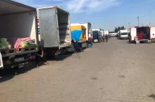 Ceny warzyw Rybitwy - sierpnień 2020