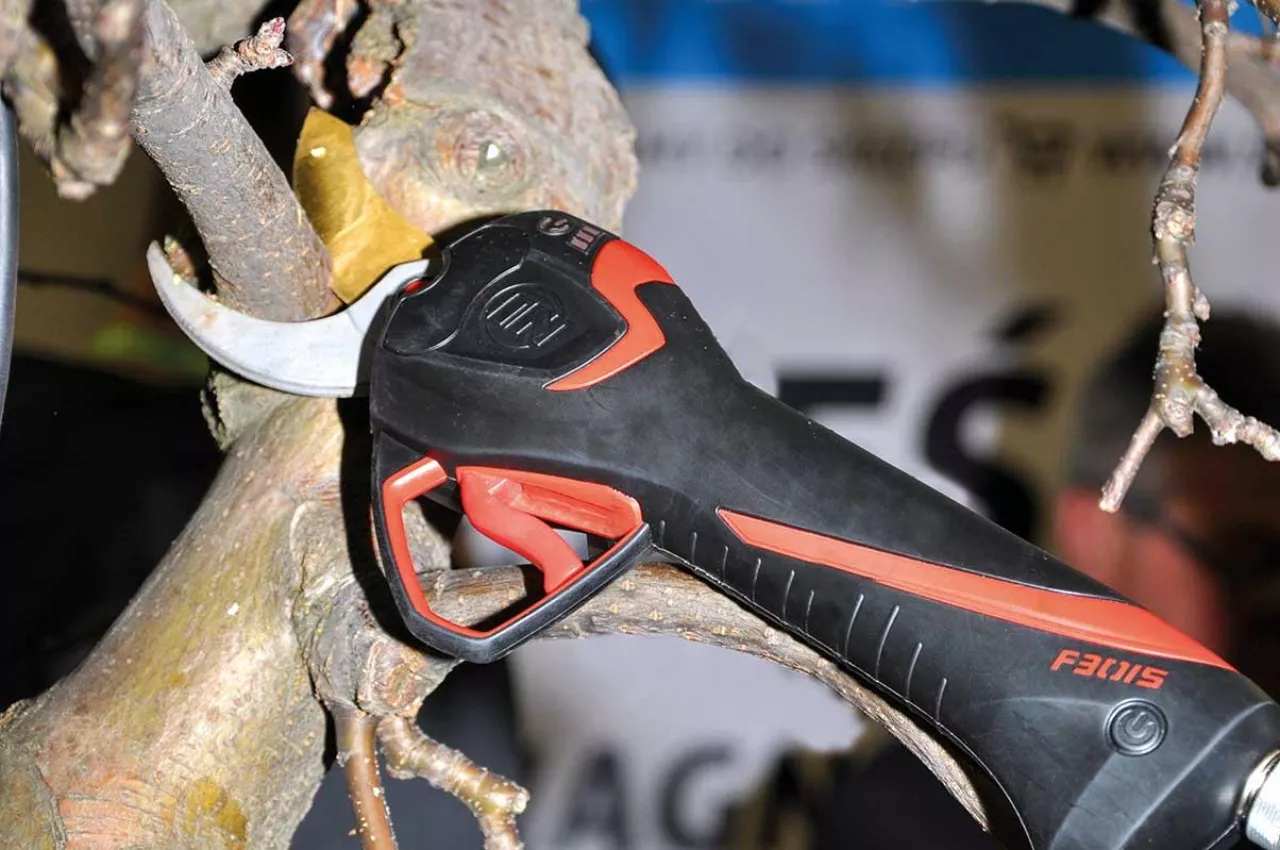 Tniemy, przycinamy, wycinamy