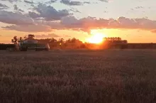 896436