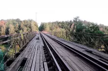 231781